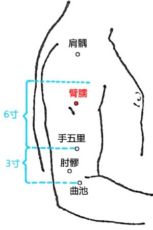 臂儒穴|臂臑穴